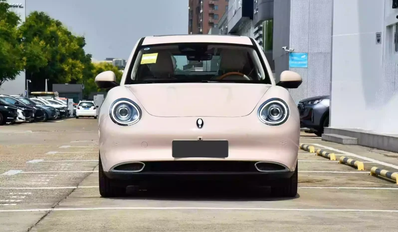 
								GWM Ora Funky Cat full									