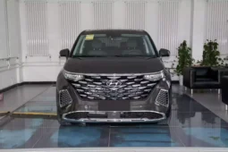 Hyundai Custo