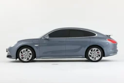 GWM Ora Lightening Cat